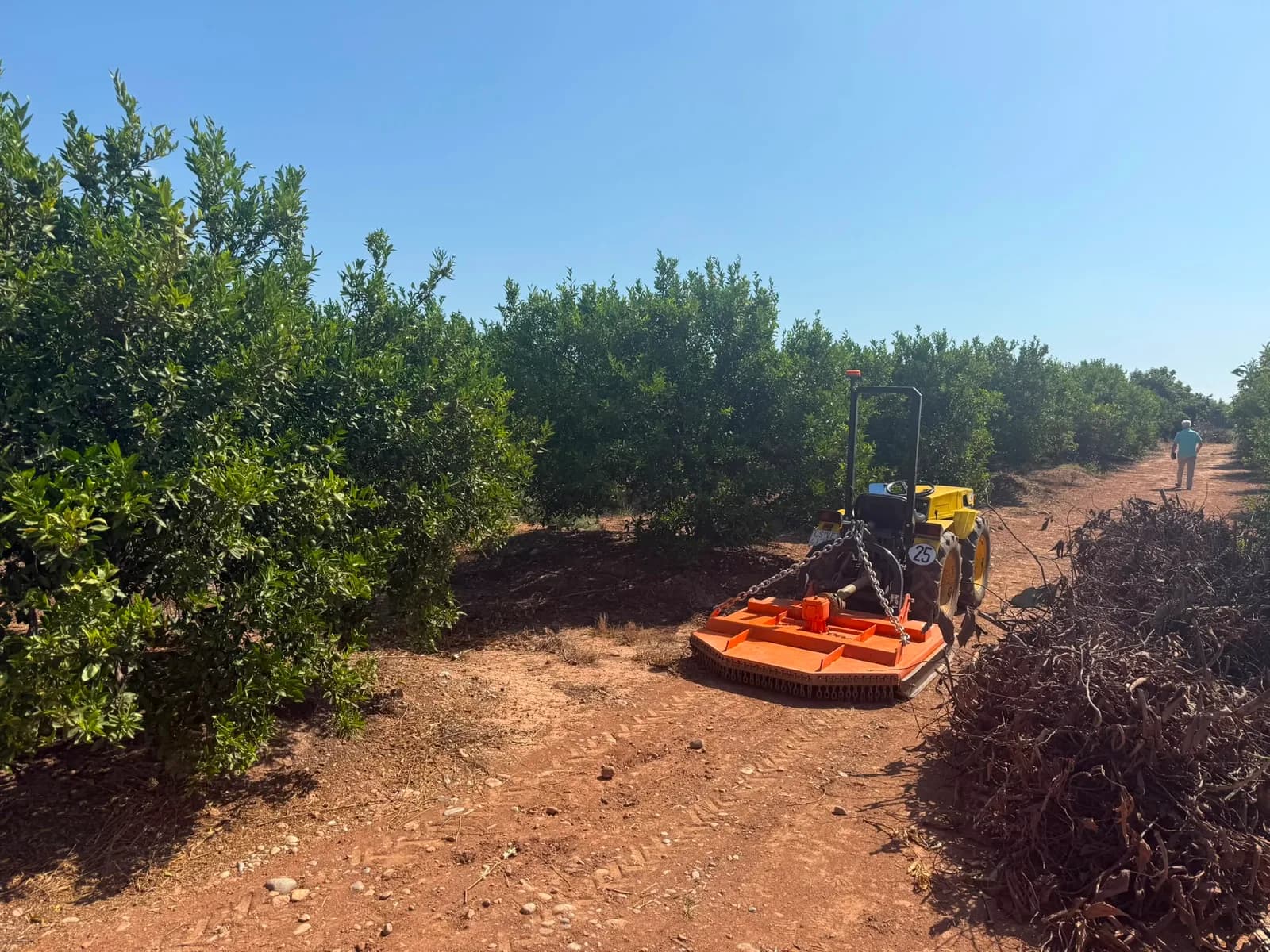 Finca naranjos USO