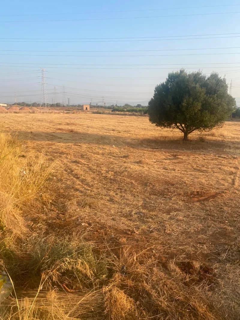 Terreno 3000 m2 Industrial